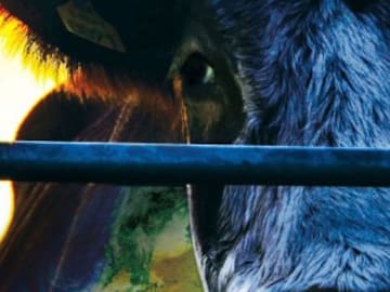 Siete documentales que cambiarán tu manera de ver el planeta