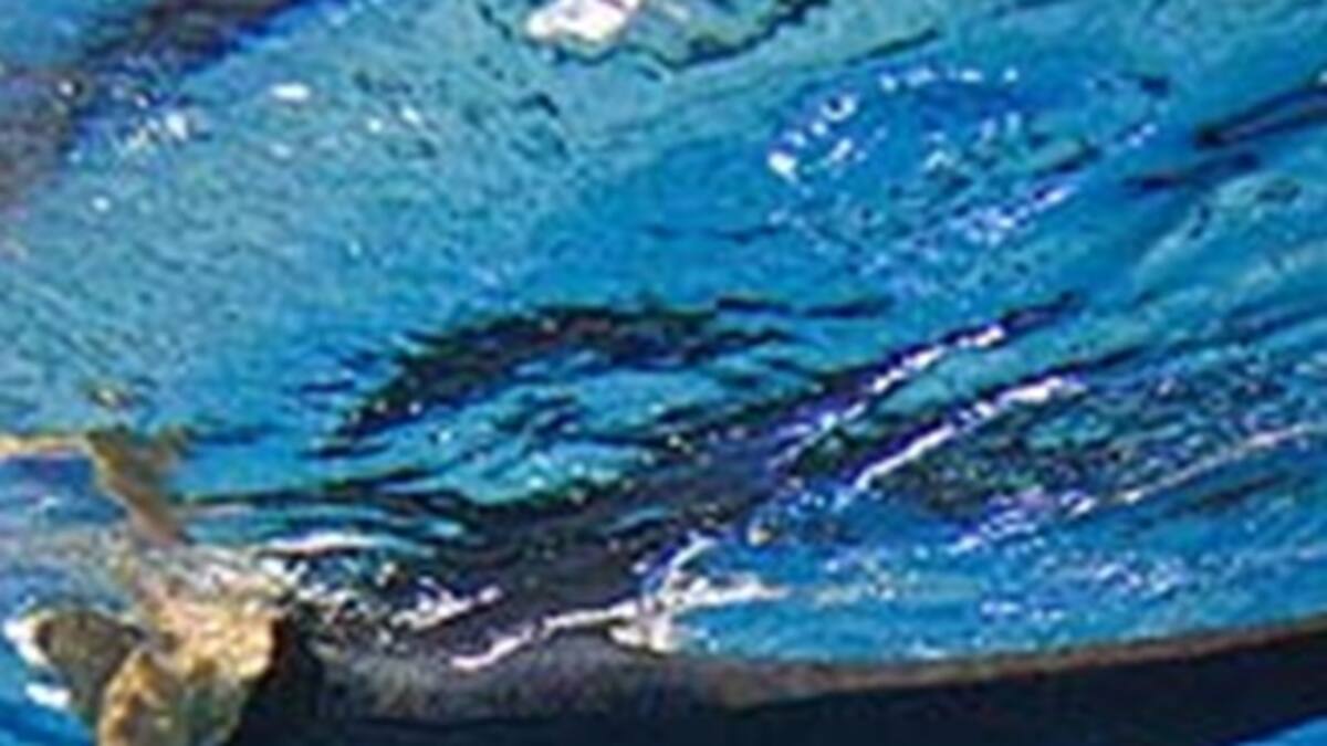 Para nadar, una cola de sirena