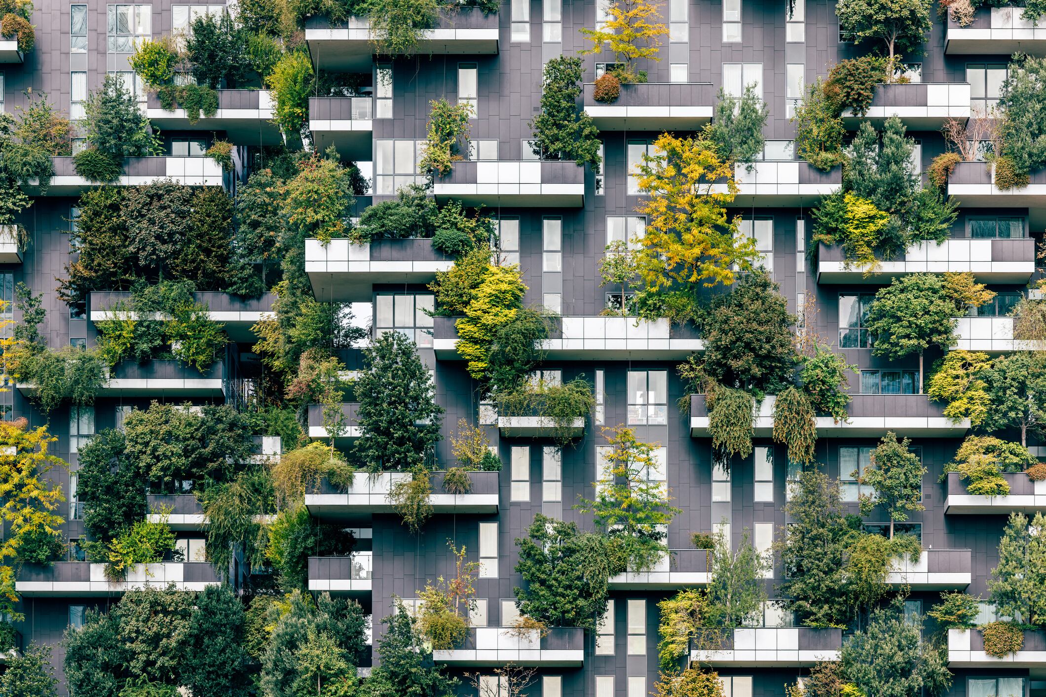 Las ciudades más verdes son ciudades más habitables.