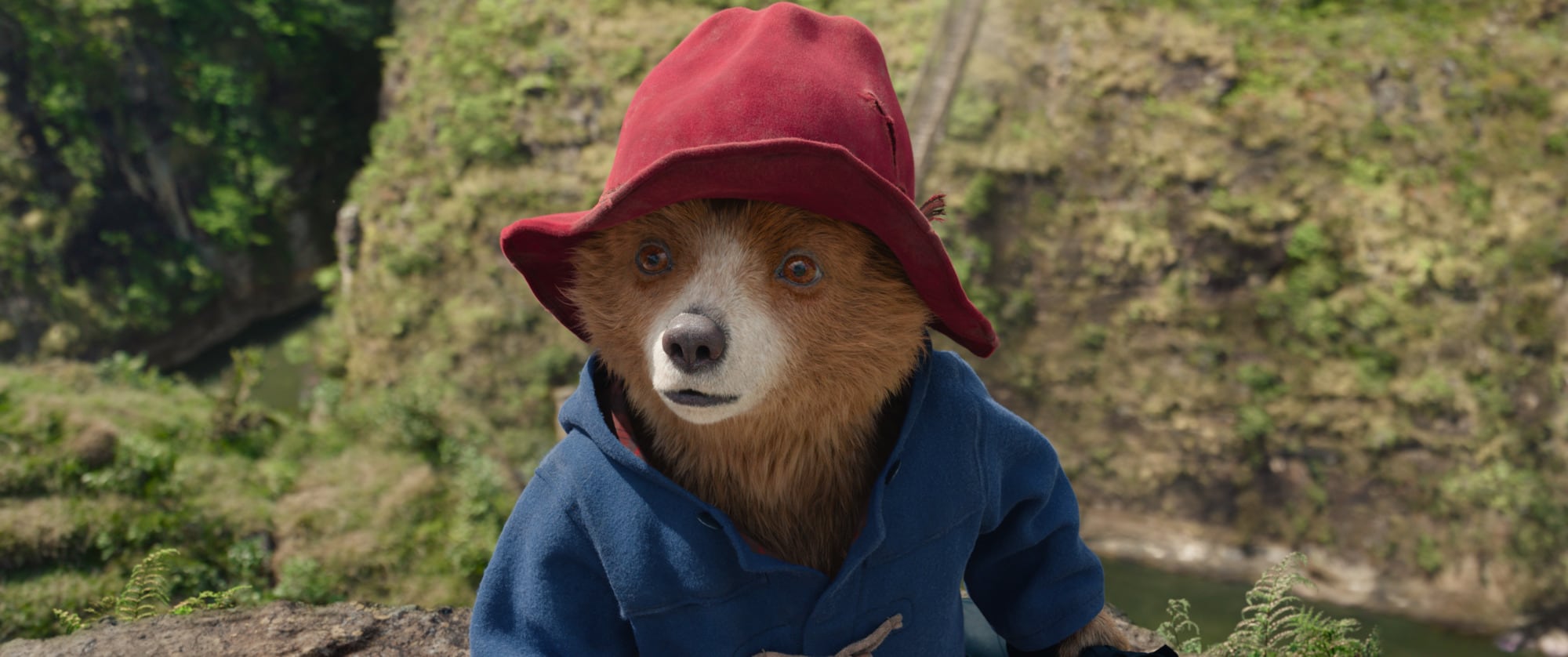 Paddington en &#039;Paddington: Aventura en la Selva&#039;. / Sony Pictures