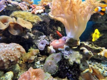 ESTOS DOCUMENTALES DE NETFLIX CAMBIARÁN TU PERCEPCIÓN DEL CAMBIO CLIMÁTICO