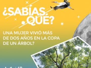 La mujer que vivió dos años en la copa de un árbol