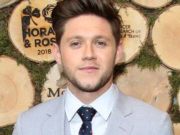 Niall Horan y la sensación de sentirse prisionero en One Direction