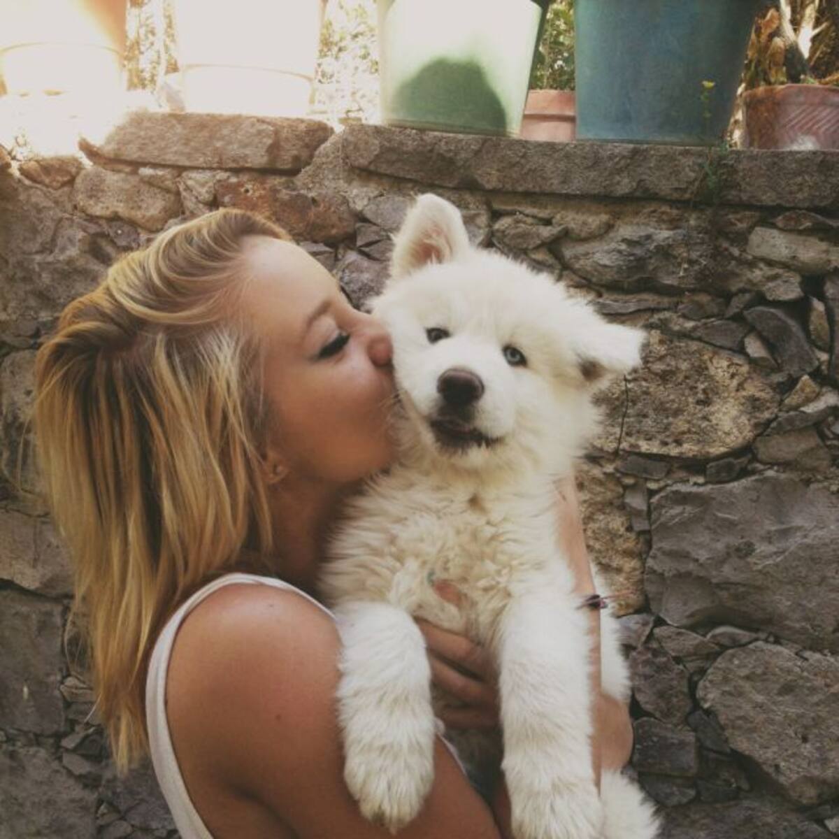 8 Cosas que sólo los amantes de los perros pueden entender