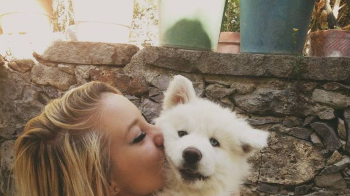 8 Cosas que sólo los amantes de los perros pueden entender
