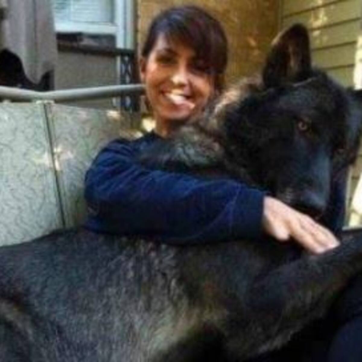 ¡Los perros más gigantes del mundo!