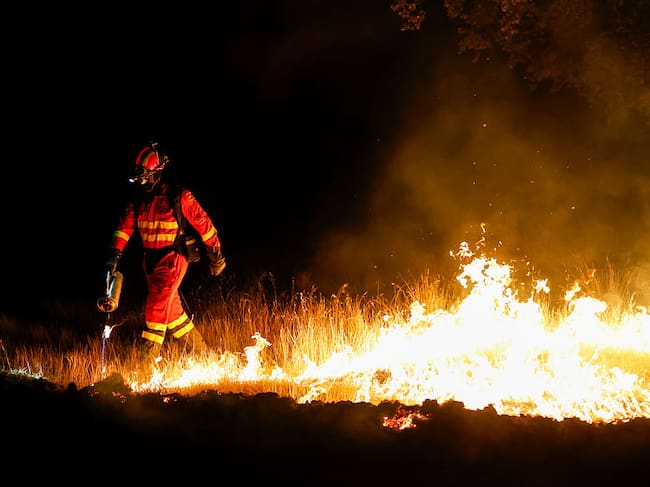 Los últimos incendios en España han dado paso al negacionismo climático de algunos.