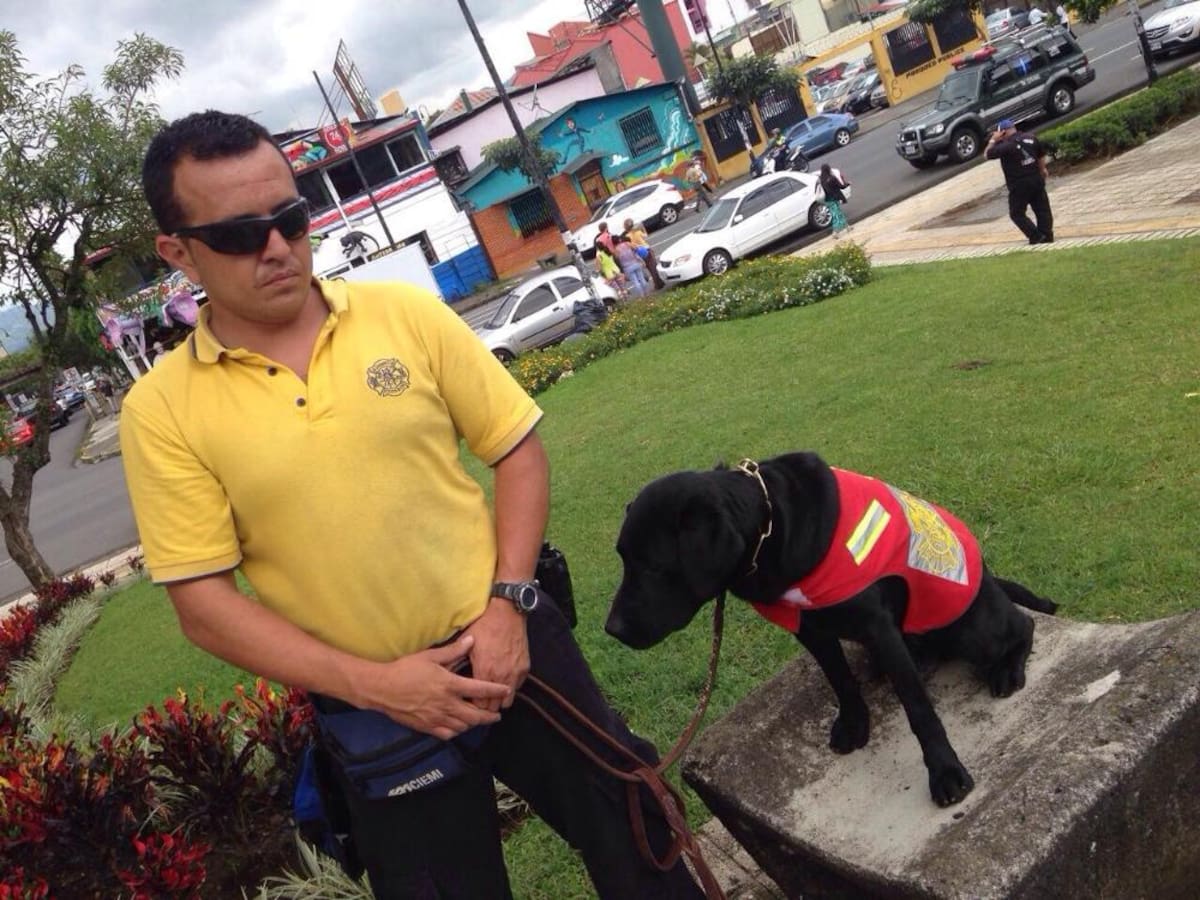 Imagen sin título