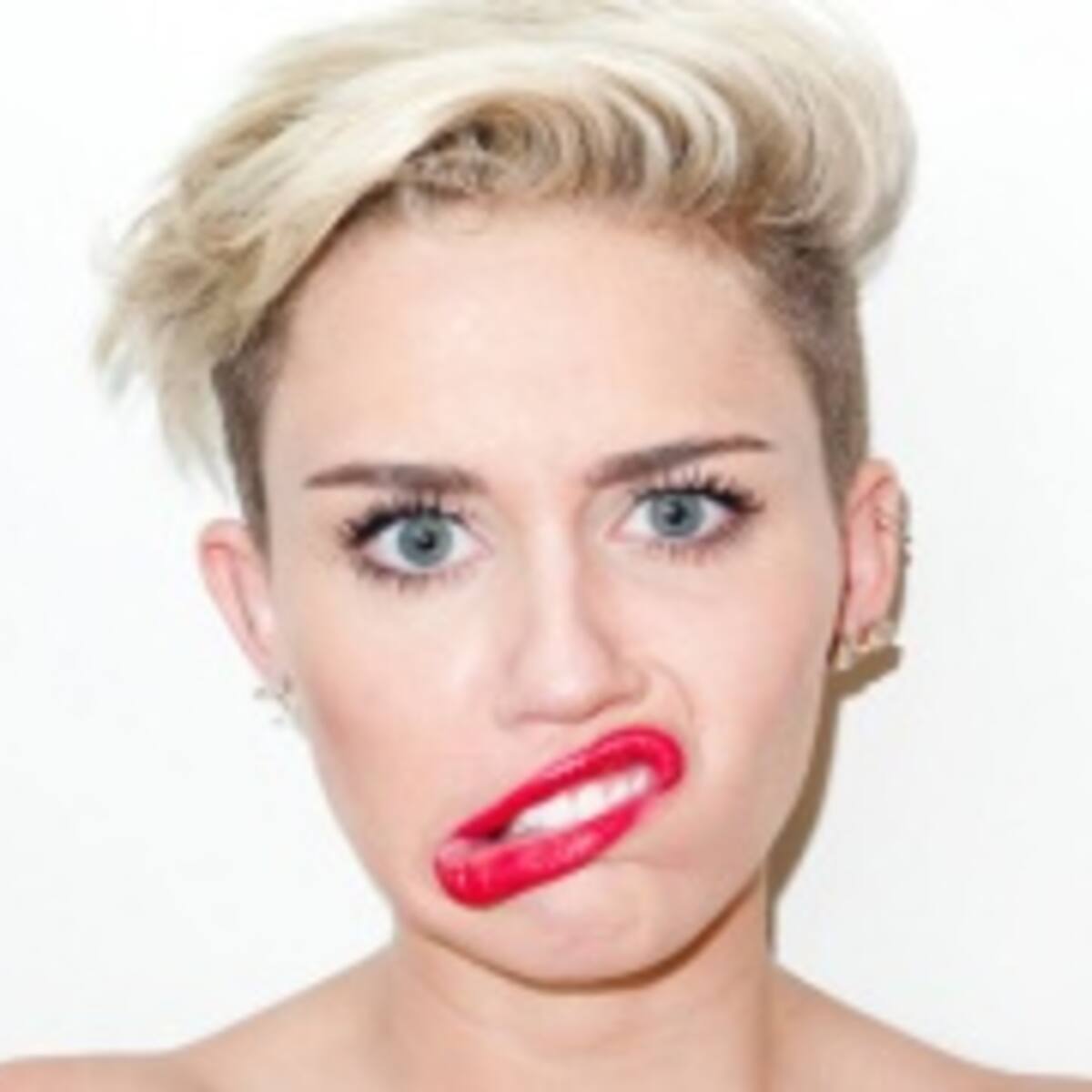 Miley Cyrus fue atacada por un gato