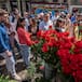 ¿Por qué en Sant Jordi se regalan libros y rosas? Esta es la razón