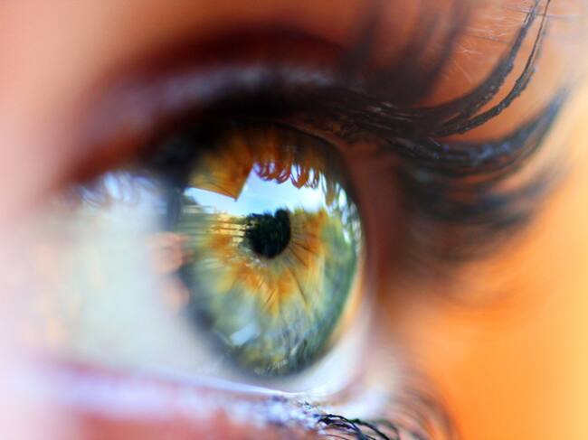 ¿Qué cambios son los que predicen este riesgo de enfermedades?