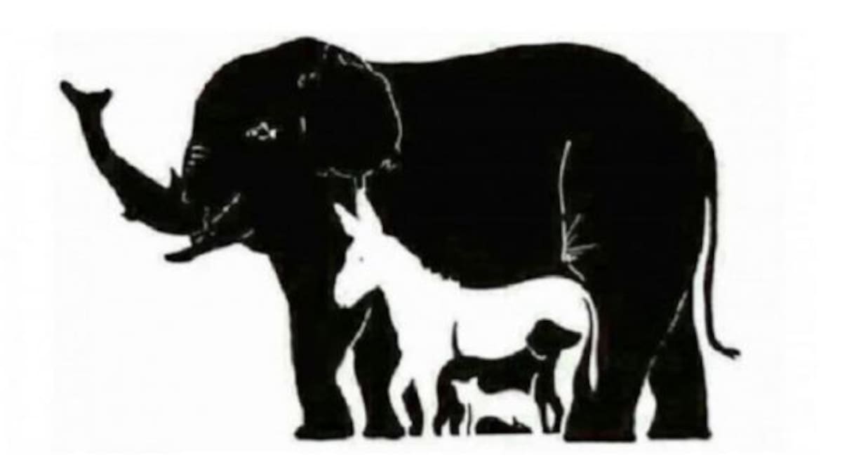 ¿Cuántos animales ves en esta foto?