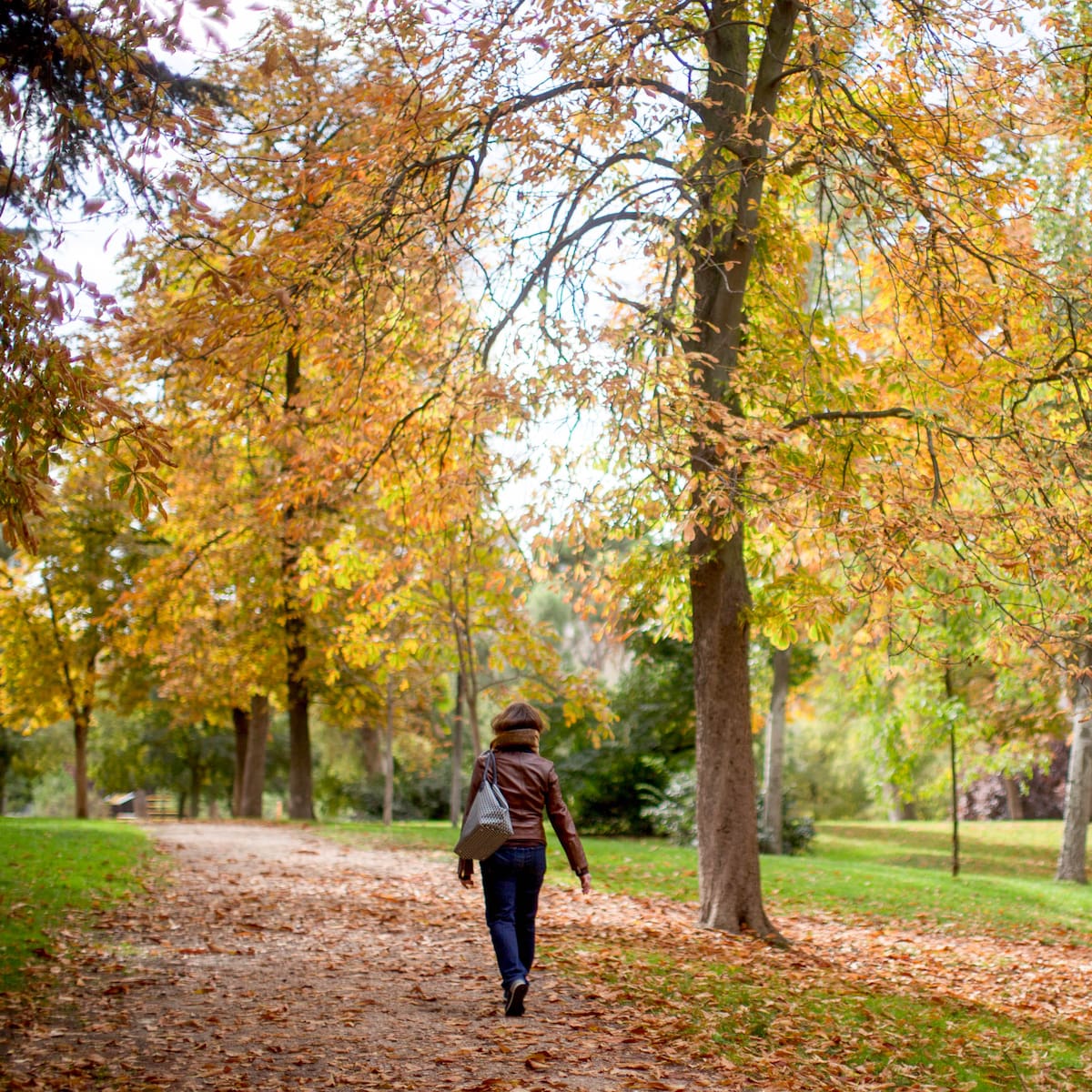 Qué hacer en Semana Santa 2026 si no te vas de viaje: planes para disfrutar del puente en Madrid