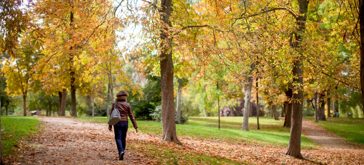 El parque de El Retiro en Madrid.