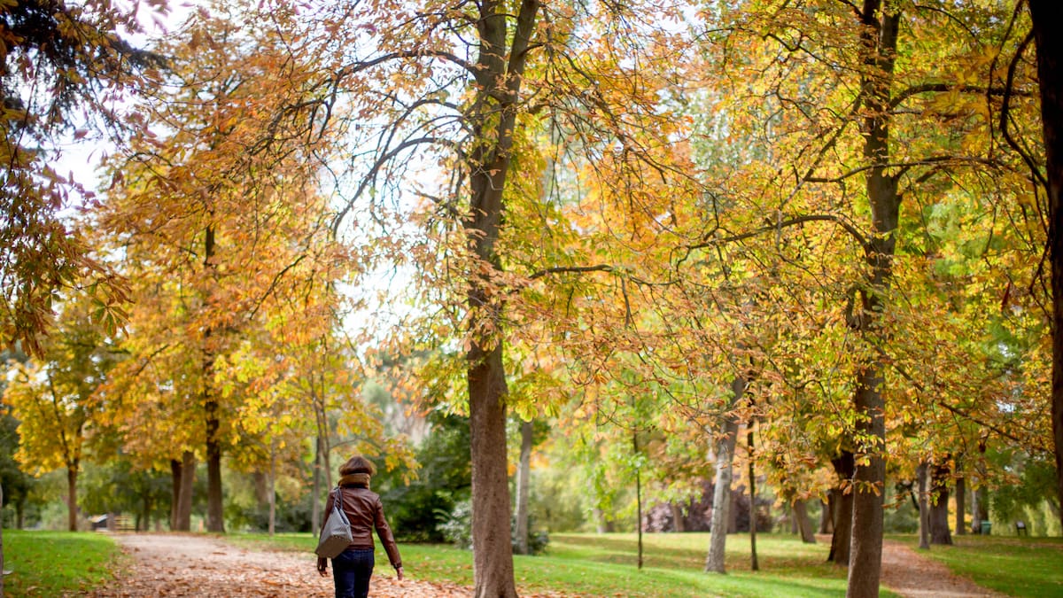 Qué hacer en Semana Santa 2026 si no te vas de viaje: planes para disfrutar del puente en Madrid