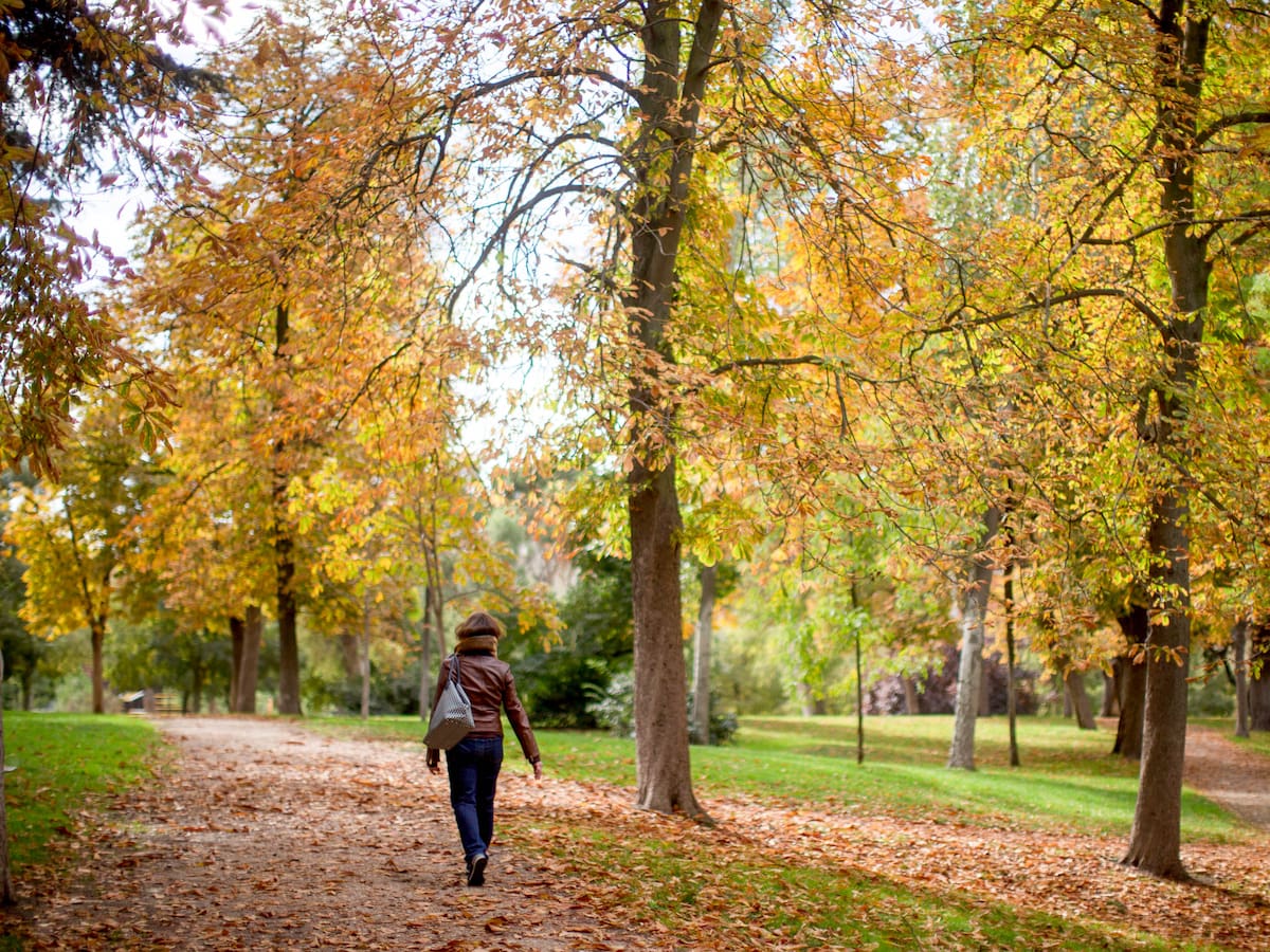 Qué hacer en Semana Santa 2026 si no te vas de viaje: planes para disfrutar del puente en Madrid