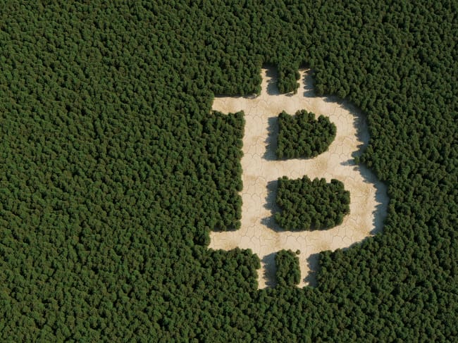 Las criptomonedas y el planeta están más relacionadas de lo que parece.