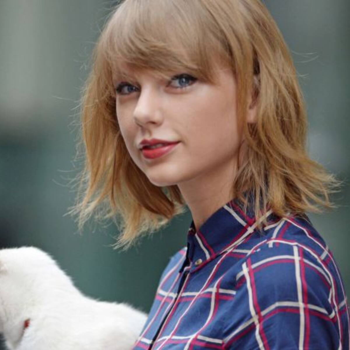Calvin Harris, babysitter de la gata de Taylor Swift