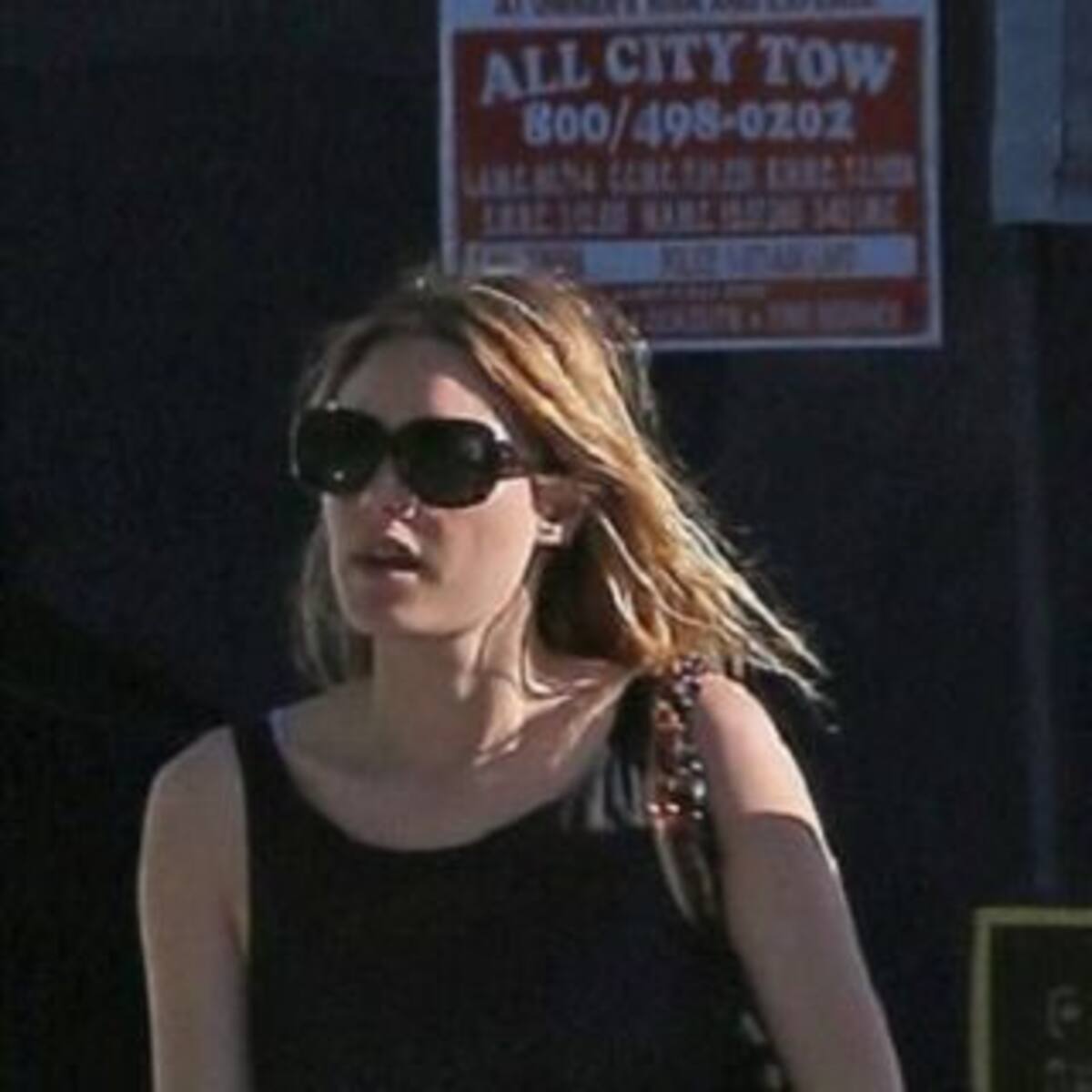 Ya no pueden ocultar su amor: descubrieron a Harry Styles y Camille Rowe juntos