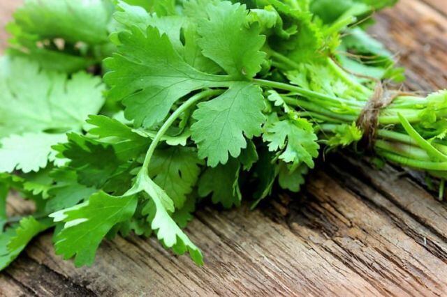 El cilantro era de la propia cosecha del abuelo