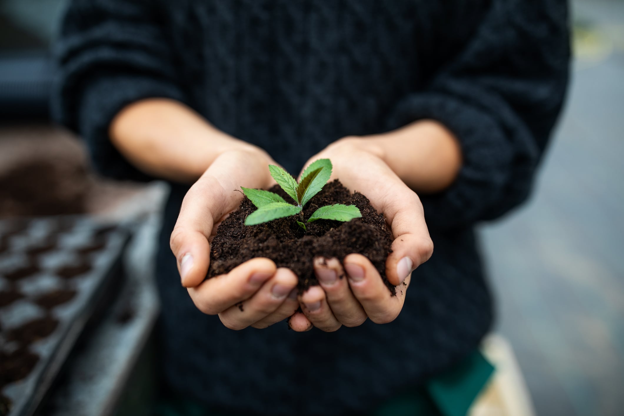 El uso de algunos fertilizantes pone en pie de guerra a los ecologistas.