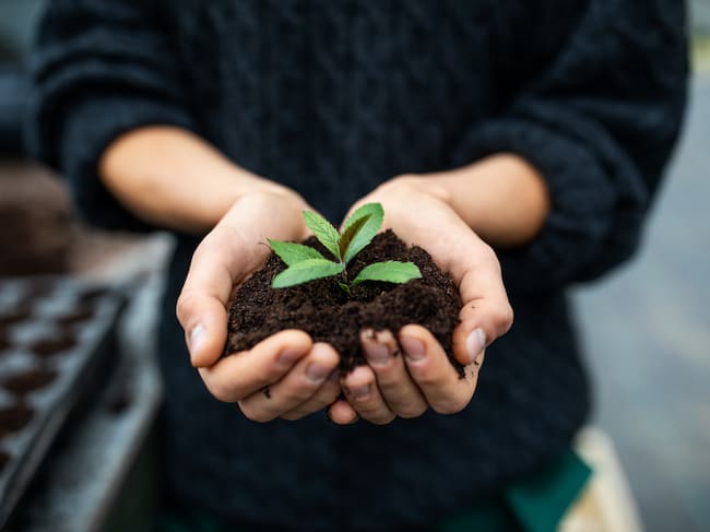 El uso de algunos fertilizantes pone en pie de guerra a los ecologistas.