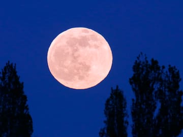 Rituales para la Luna Rosa de abril 2024: cómo atraer la suerte en el amor y la abundancia a tu vida