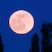 Rituales para la Luna Rosa de abril 2024: cómo atraer la suerte en el amor y la abundancia a tu vida