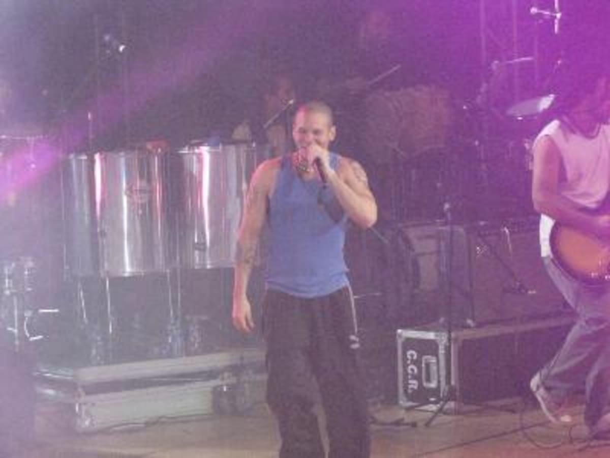 Concierto de Calle 13 Palmares 2009