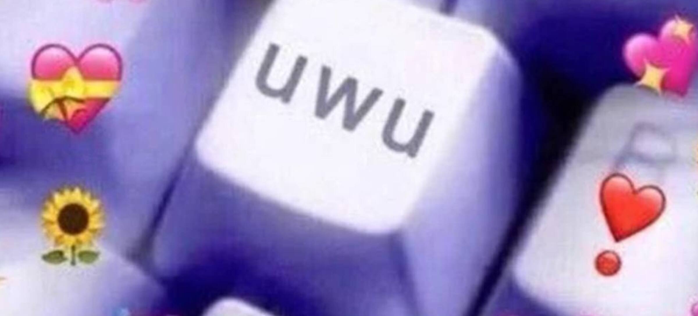 Diccionario 40: ¿Qué significa «UwU» y cómo es definido por la RAE ...