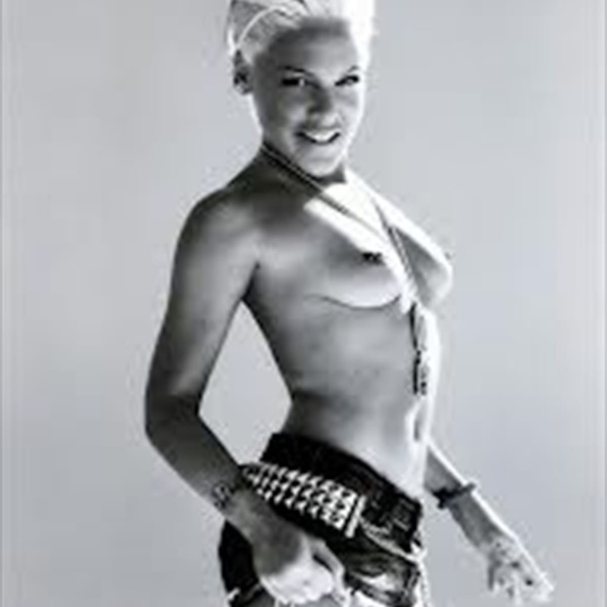 Pink: desnuda para Bryan Adams