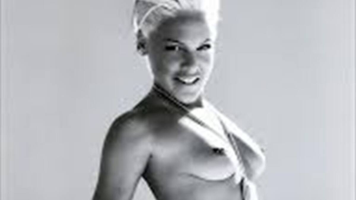 Pink: desnuda para Bryan Adams