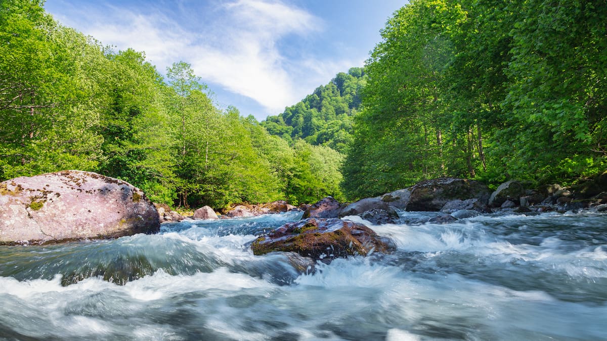 Open Rivers: ¿Por qué eliminar las barreras fluviales es una buena idea?