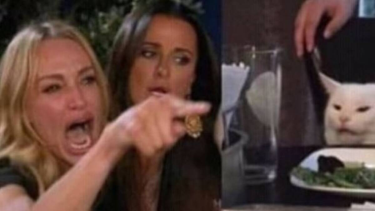 La verdadera historia del meme de la mujer que le grita al gato malvado