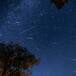 Perseidas 2025: día, hora y cómo ver la lluvia de estrellas fugaces de agosto