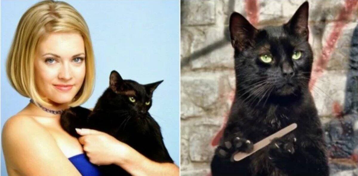 Salem - Uno de los gatos más famosos de la televisión era un robot.