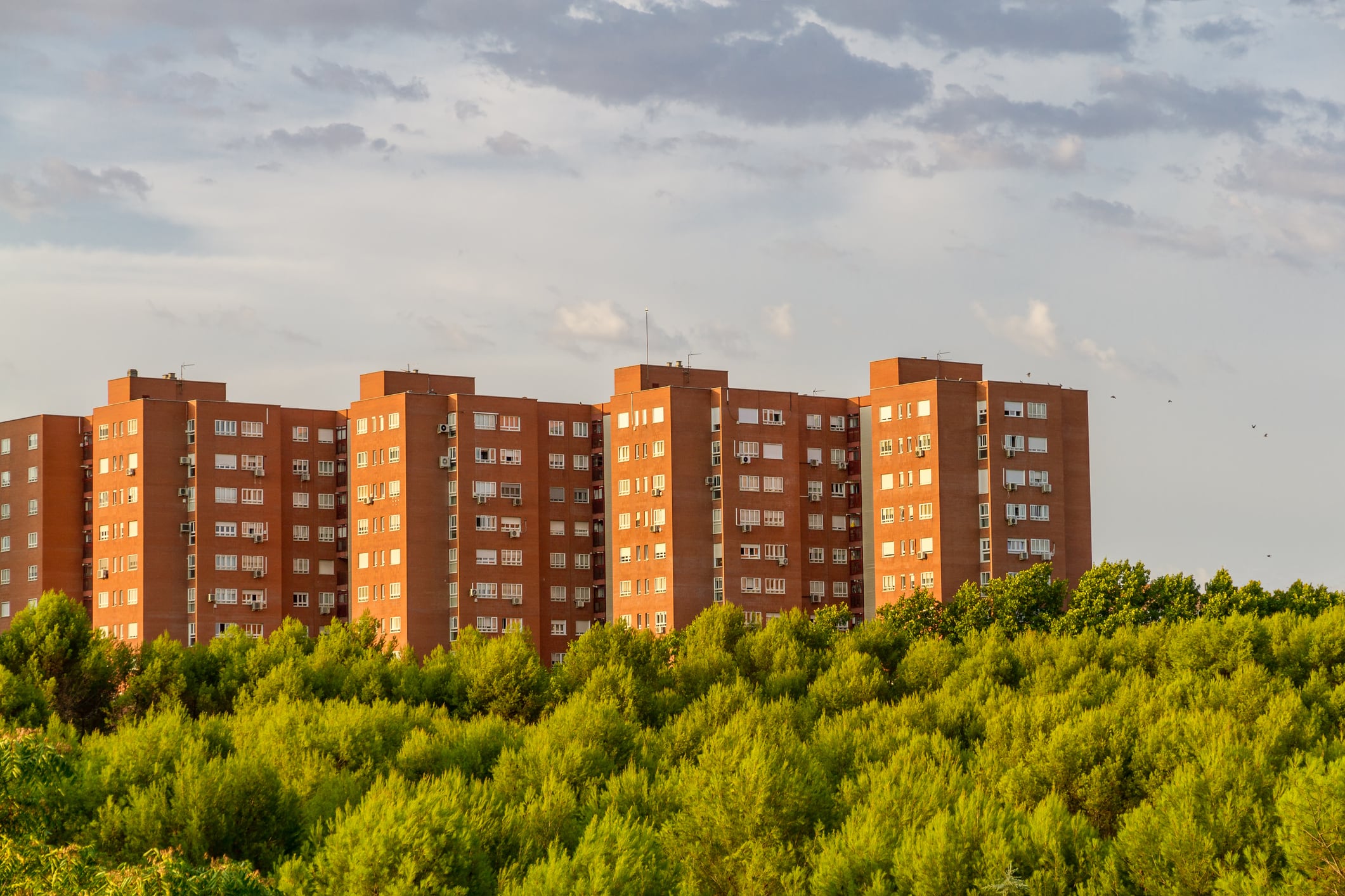 Los parques urbanos deben estar bien planificados.
