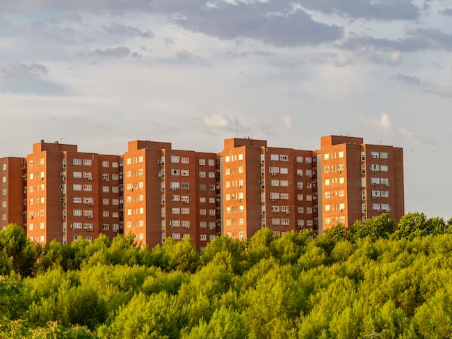 Los parques urbanos deben estar bien planificados.