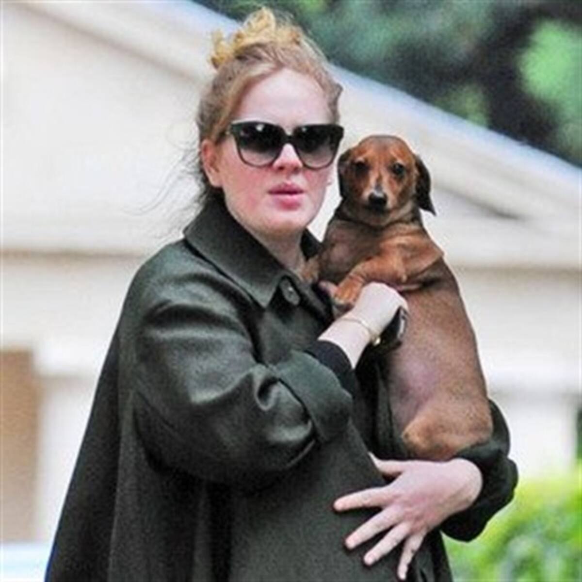 Volvió Adele