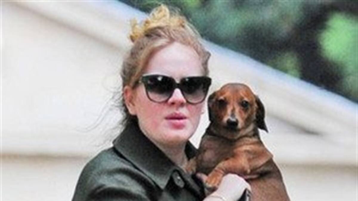 Volvió Adele