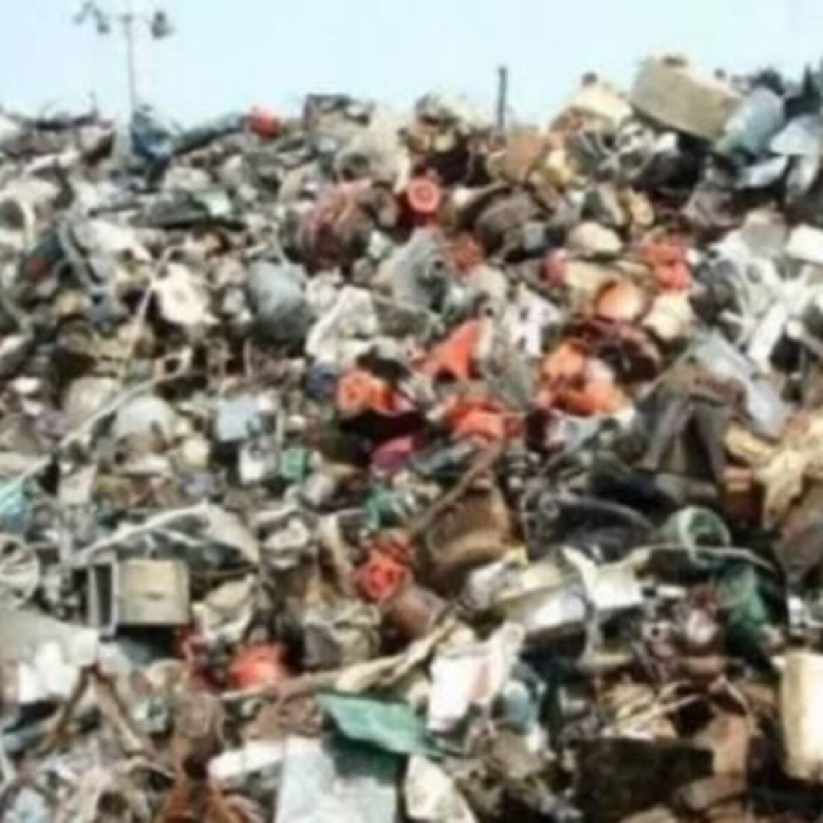 El desafío más difícil: ¿Podrás encontrar al gato escondido en la basura?