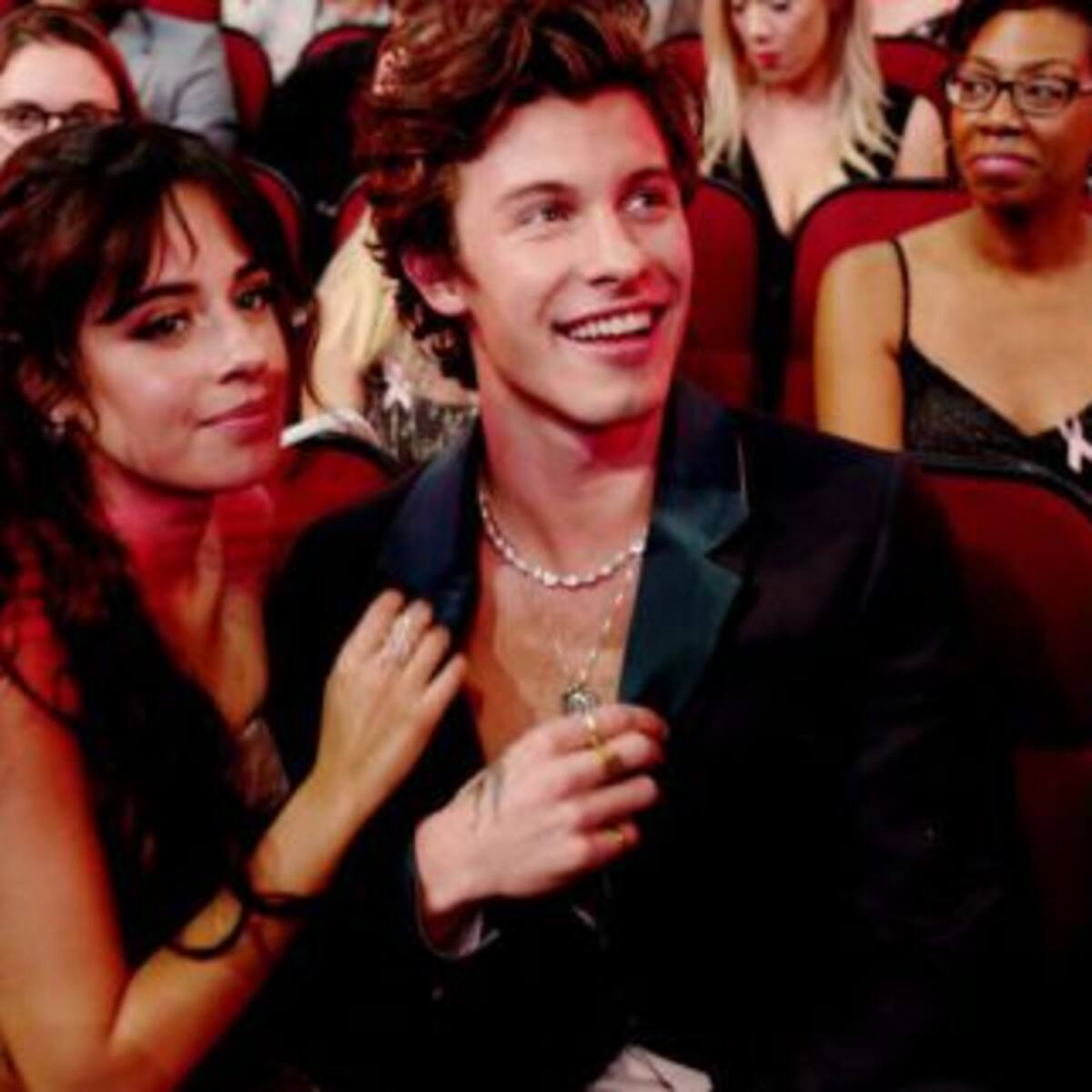 Camila Cabello y Shawn Mendes: ¿Se separaron?