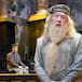Muere Michael Gambon, el eterno Dumbledore de Harry Potter, a los 82 años