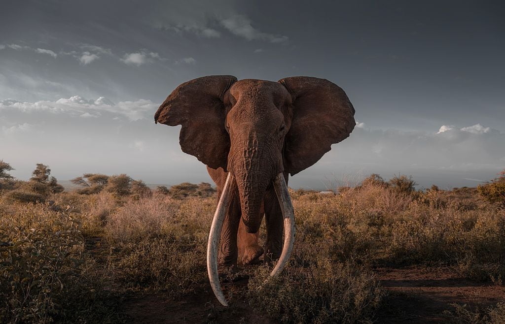 Craig, en una imagen del pasado 31 de diciembre, apenas tres días antes de fallecer.