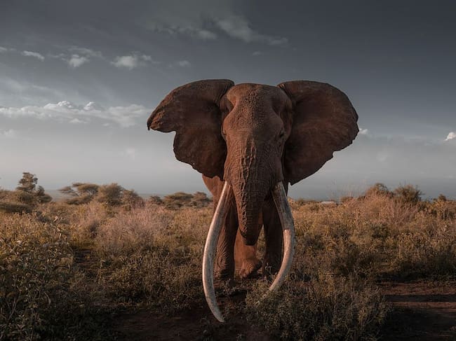 Craig, en una imagen del pasado 31 de diciembre, apenas tres días antes de fallecer.