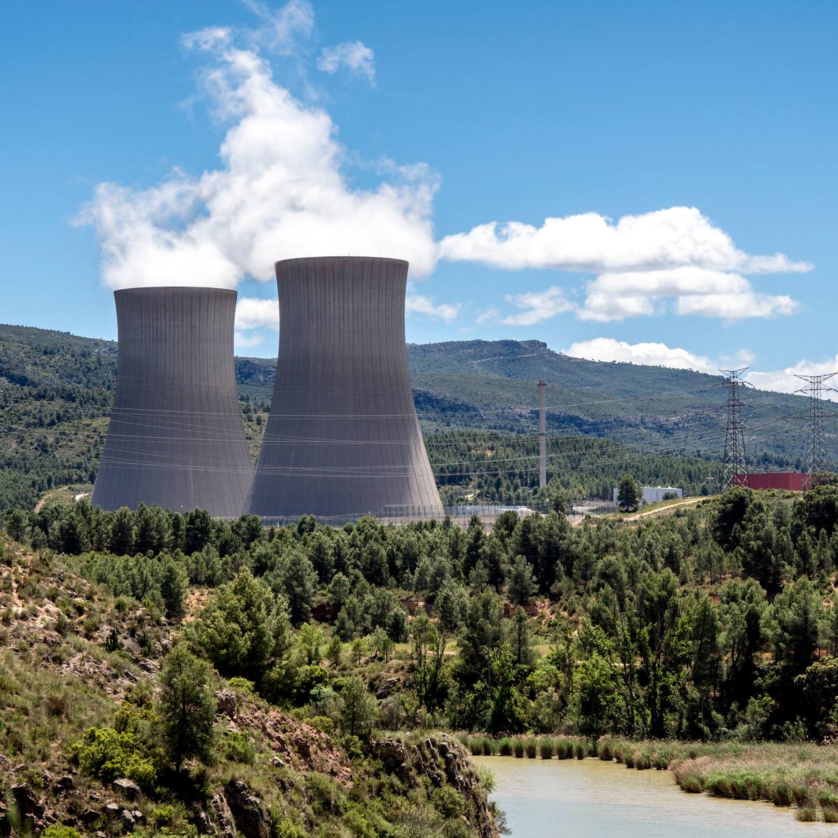 Objetivo de los ecologistas: jubilar las nucleares