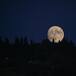 Luna llena de agosto 2024: a qué hora se podrá ver la Superluna o luna azul
