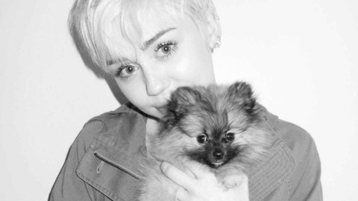 Miley Cyrus, premiada por su defensa de los animales