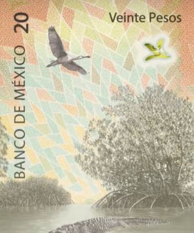 Diseño vertical del billete de 20 pesos