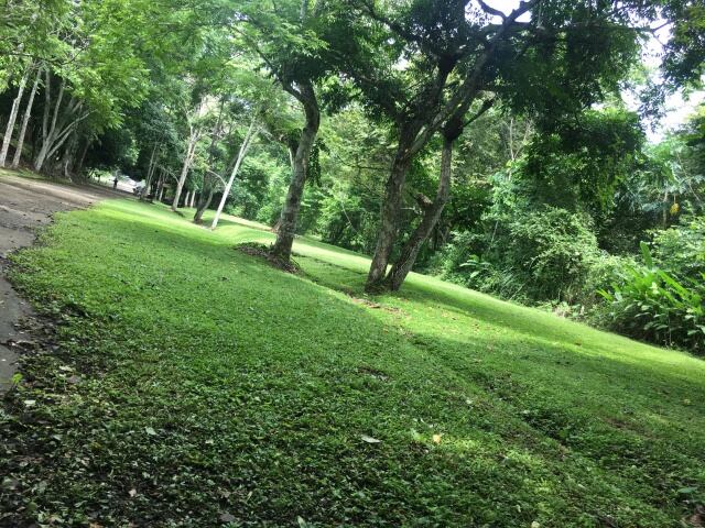 Parque Metropolitano